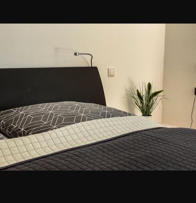 Zimmer - Modernes Apartment Mit 45 Qm. Straubing Buitenkant foto